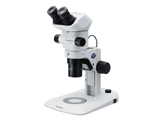 Dissecting Microscopes | Evident LS | オリンパス ライフサイエンス